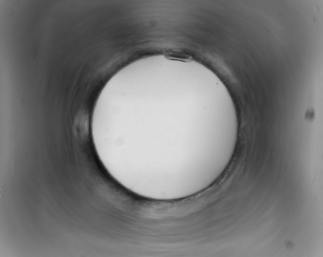 X0000100970021200807221221