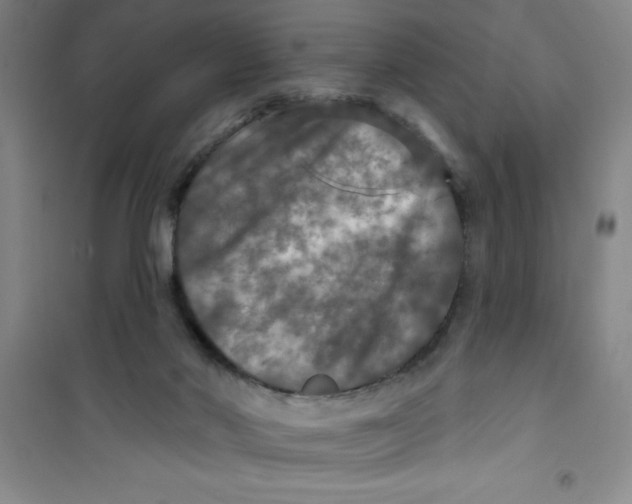X0000100970022200807221221