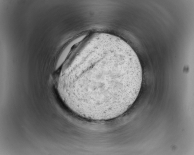 X0000100970024200807221220