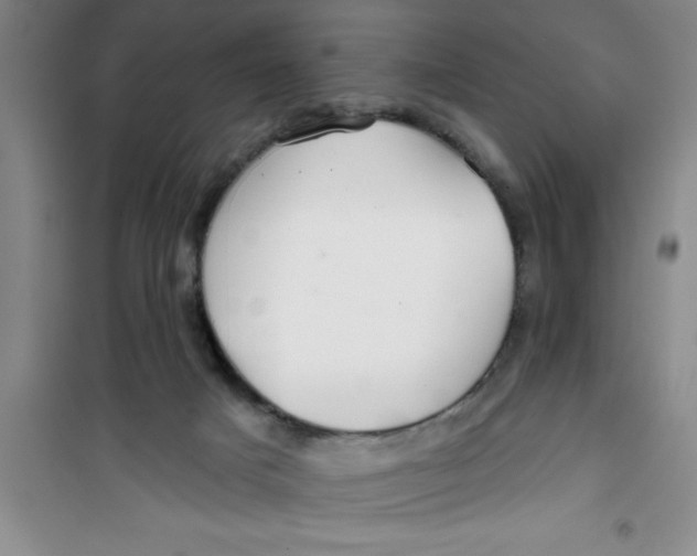 X0000100970025200807221220