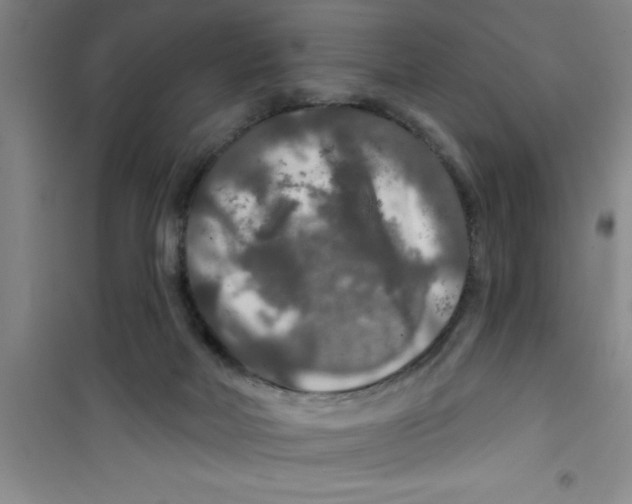 X0000100970026200807221220