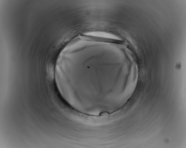 X0000100970027200807221220
