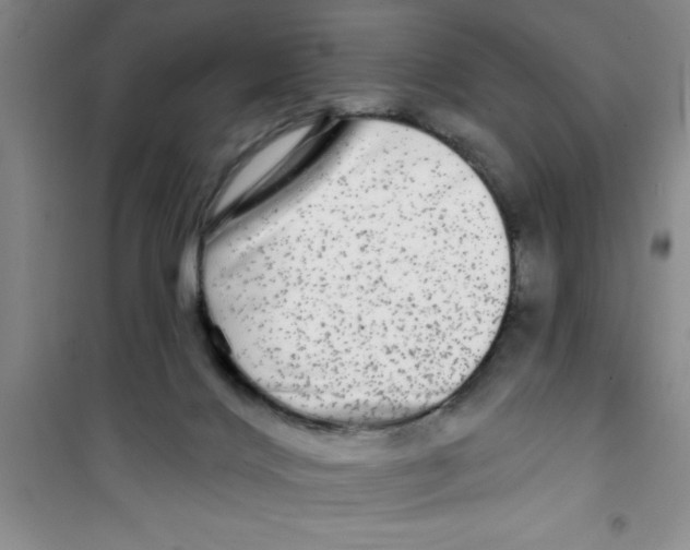 X0000100970028200807221220
