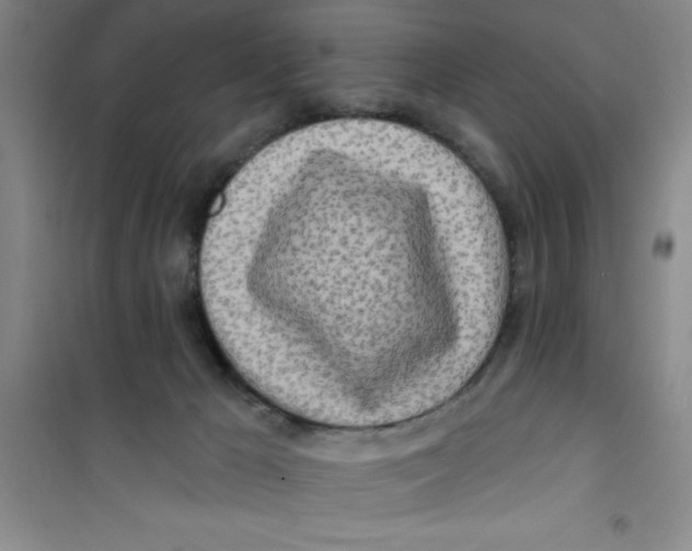 X0000100970029200807221220
