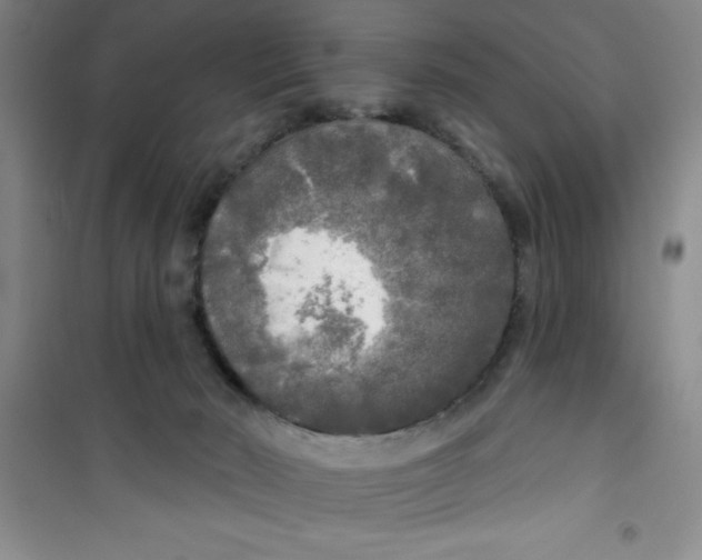 X0000100970030200807221220
