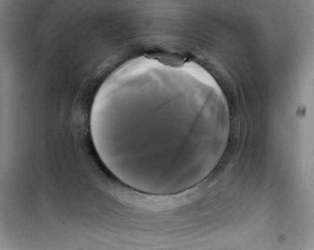 X0000100970031200807221220