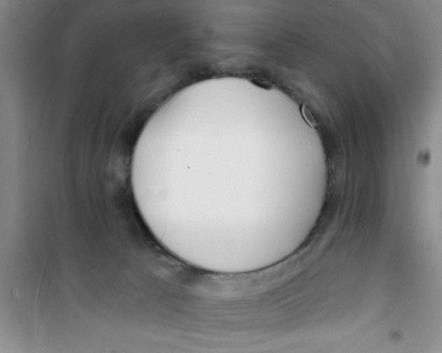 X0000100970033200807221220