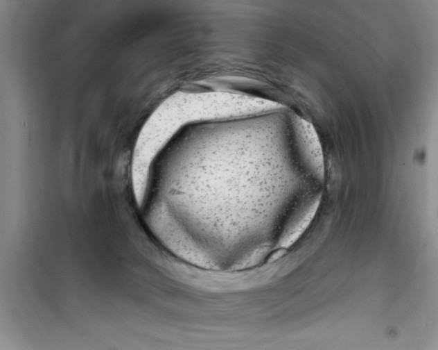 X0000100970034200807221220