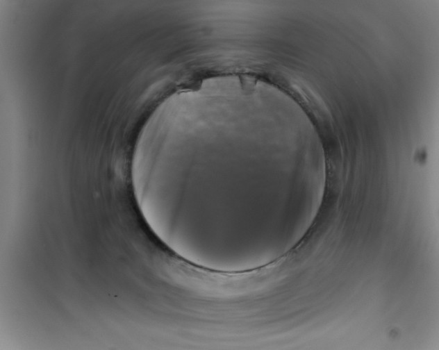 X0000100970035200807221220