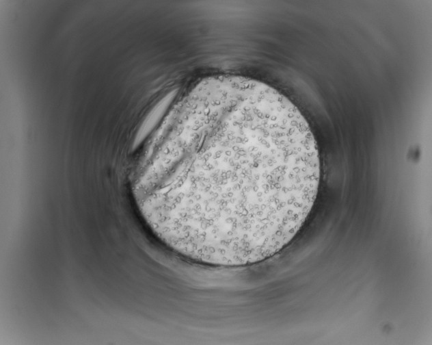 X0000100970036200807221220