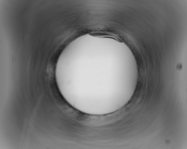X0000100970037200807221220