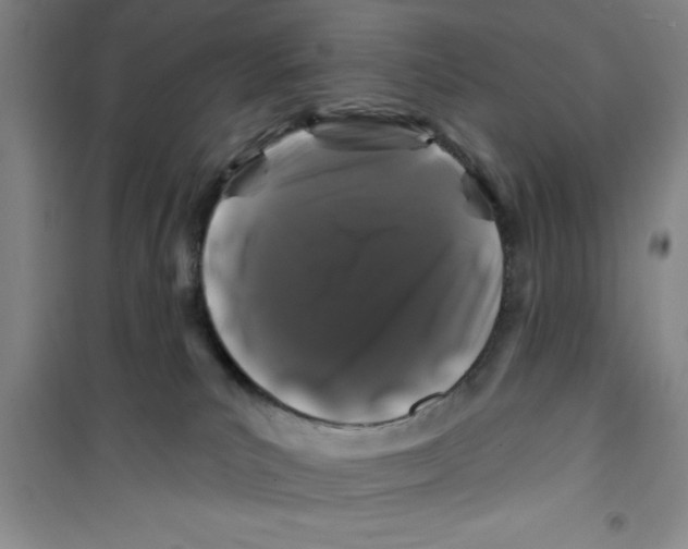 X0000100970039200807221220