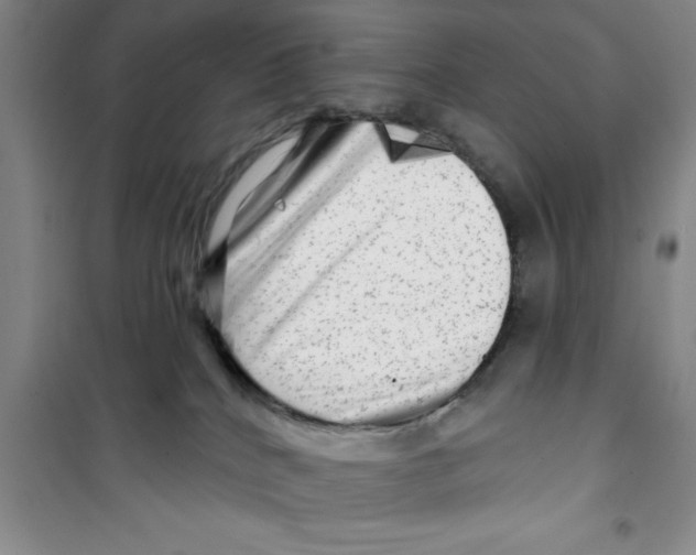 X0000100970040200807221220
