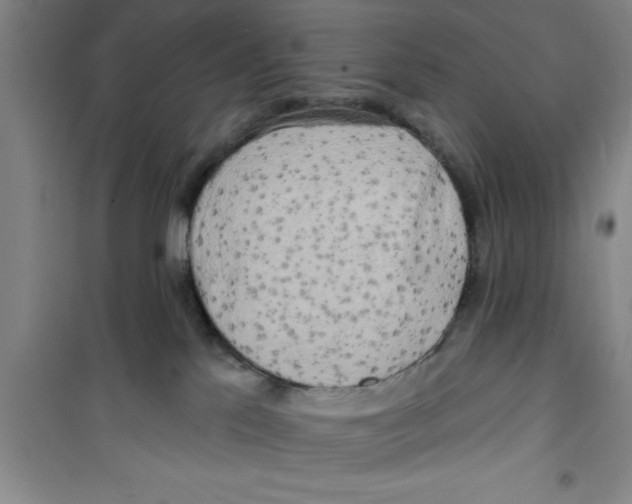 X0000100970041200807221220