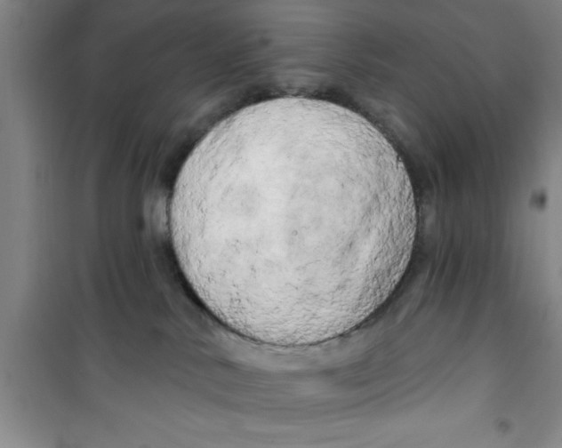 X0000100970042200807221220