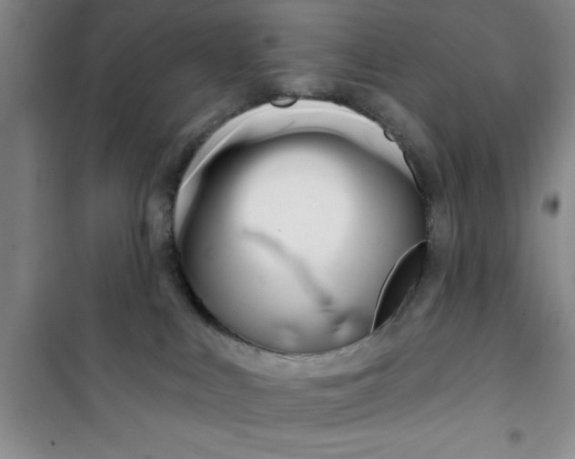 X0000100970043200807221220