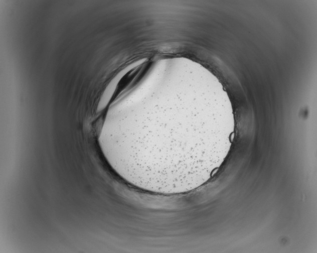 X0000100970044200807221220