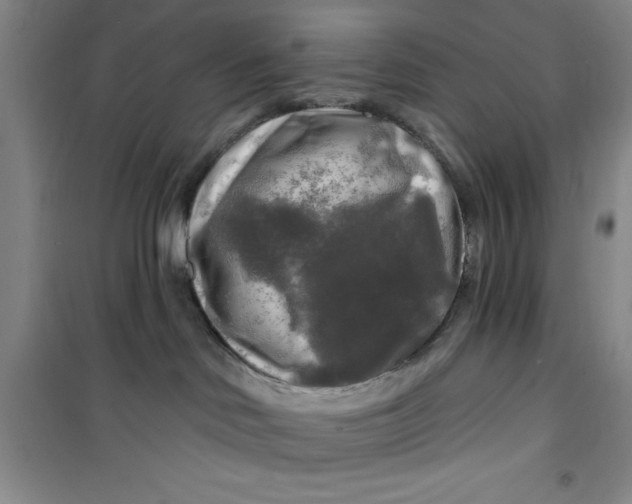 X0000100970046200807221220