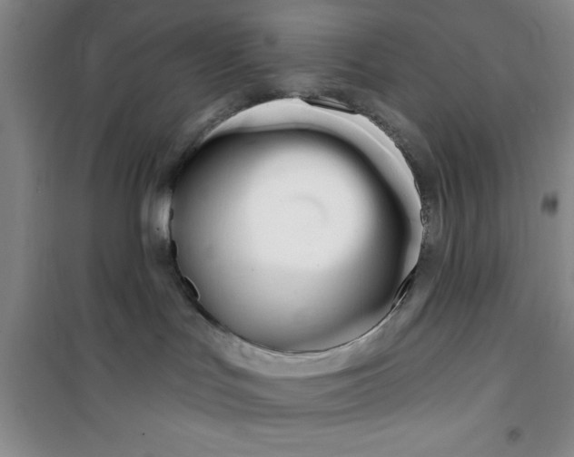 X0000100970047200807221220
