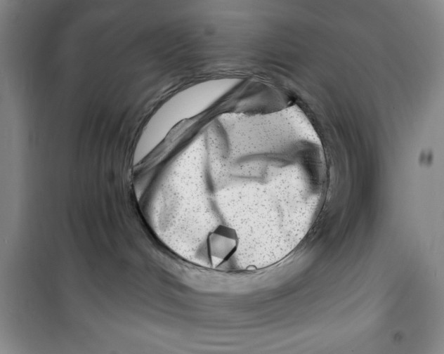 X0000100970048200807221220
