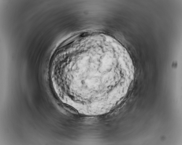 X0000100970050200807221219