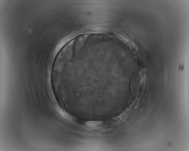 X0000100970051200807221219