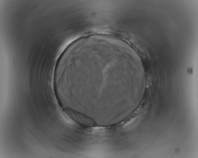 X0000100970052200807221219