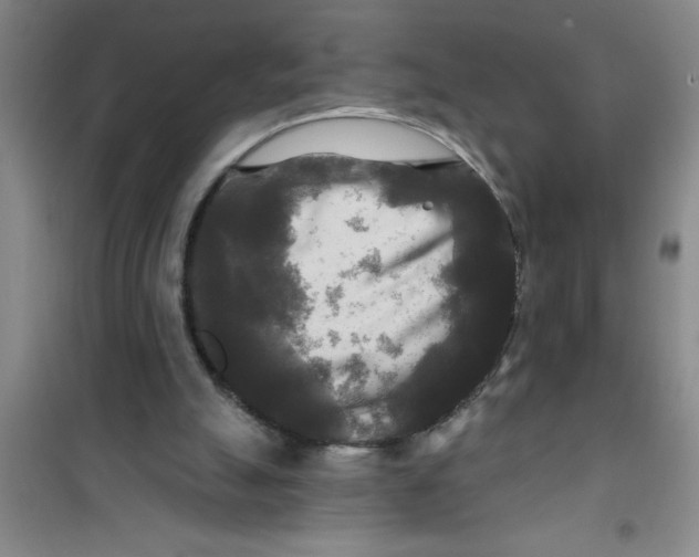 X0000100970055200807221219