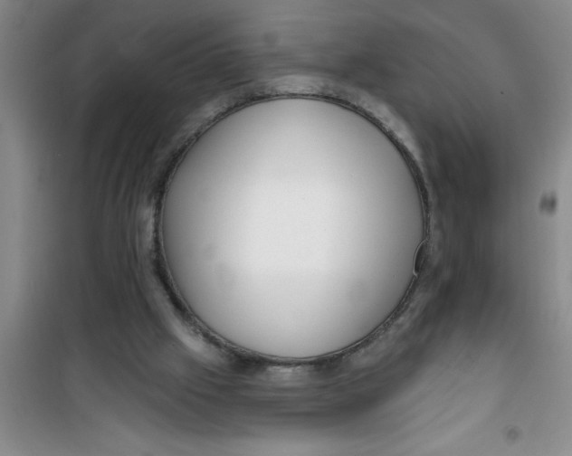 X0000100970057200807221220