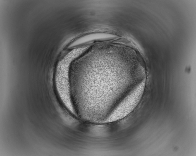 X0000100970058200807221220