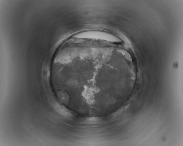 X0000100970059200807221220