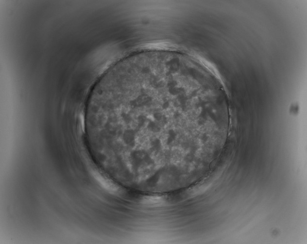 X0000100970061200807221220