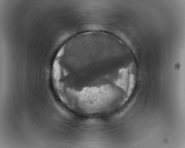X0000100970063200807221220
