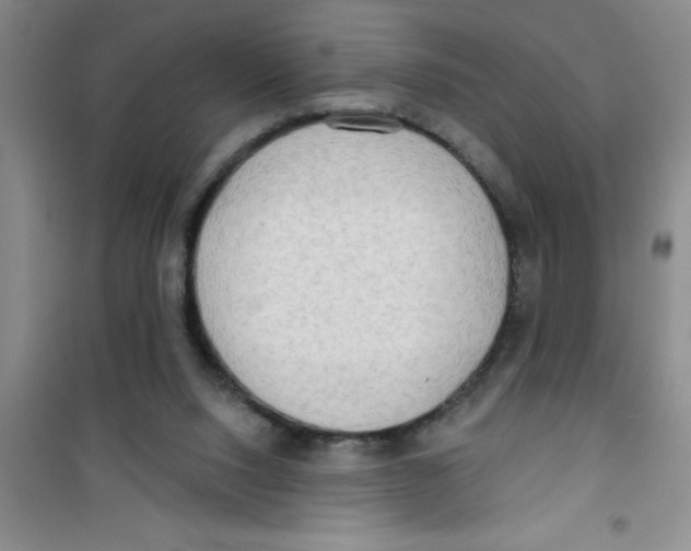 X0000100970064200807221220