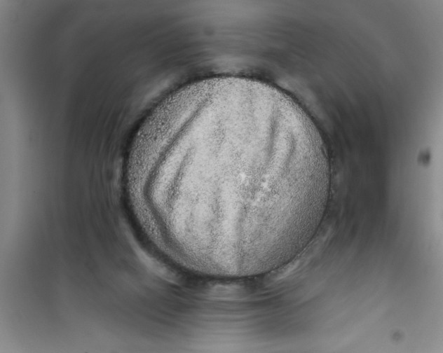 X0000100970066200807221220