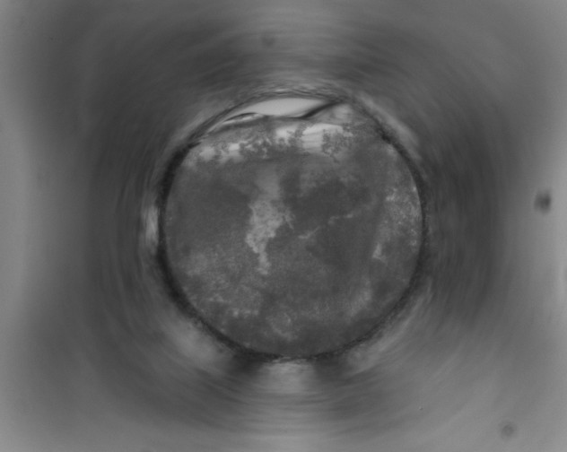 X0000100970067200807221220