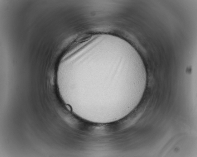 X0000100970068200807221220