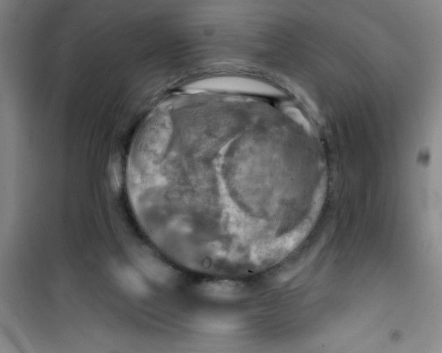 X0000100970069200807221220