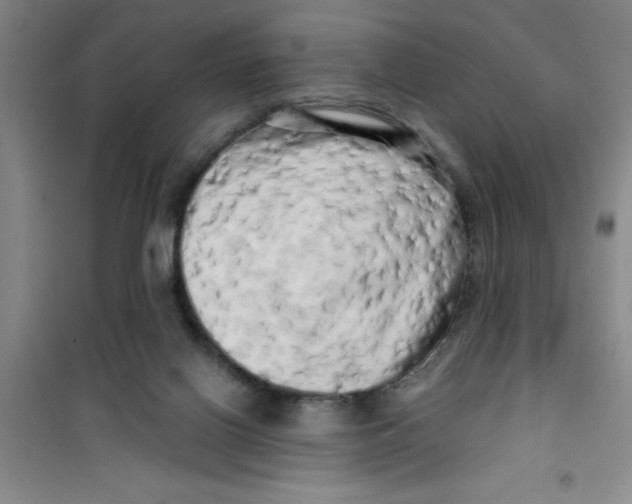 X0000100970070200807221220
