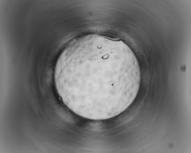 X0000100970071200807221220