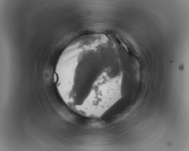 X0000100970073200807221220
