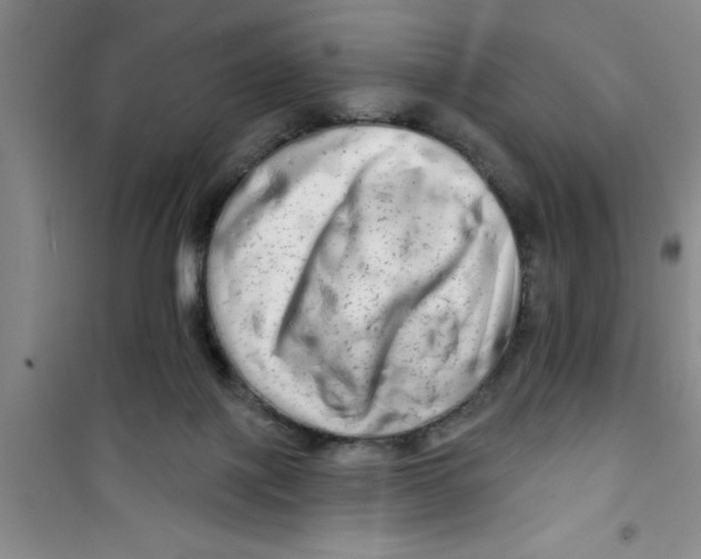X0000100970075200807221220