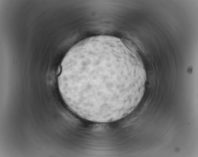 X0000100970077200807221220