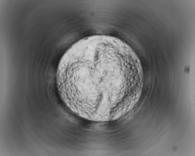 X0000100970078200807221220