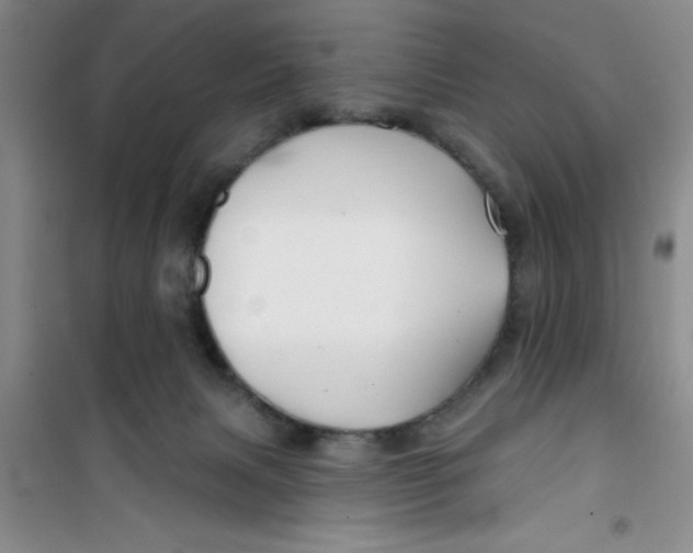 X0000100970079200807221220