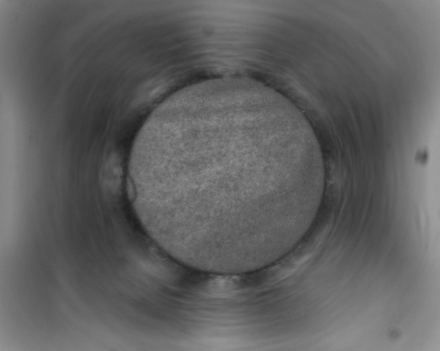 X0000100970080200807221220
