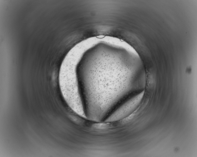 X0000100970082200807221220