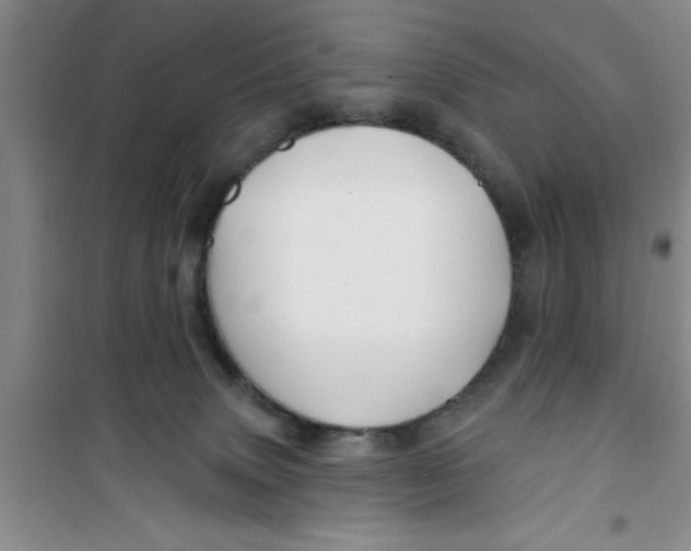 X0000100970083200807221220