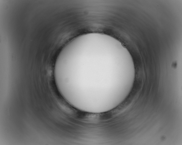 X0000100970084200807221220