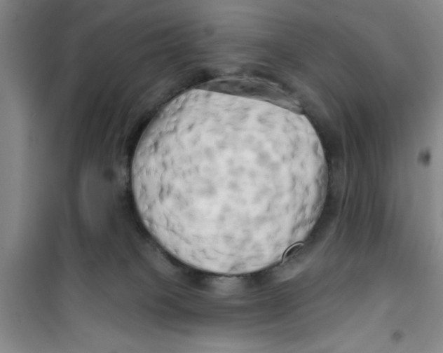 X0000100970085200807221220